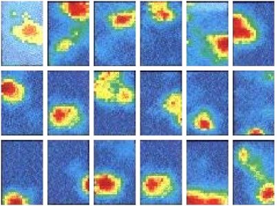 experimental place cells (27 kB)