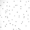 circle of dots in moving
cloud (581 kB), frame 06