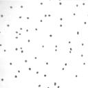 circle of dots in moving
cloud (581 kB), frame 06