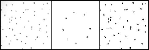 dot-pattern sequence (6 kB)