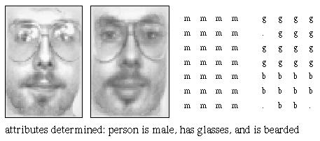 analyzed face (22 kB)