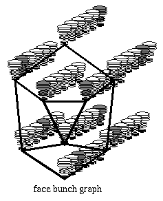 face bunch graph (scientific version) (4 kB)