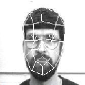 face graph (10 kB)