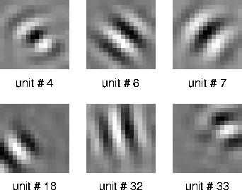 optimal stimuli of quadratic forms modeling complex cells (6
kB)