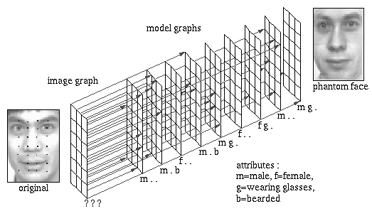 labeled bunch graph (20 kB)