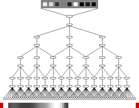 Model of Visual
System (7.6 kB)