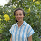 Asma Atamna